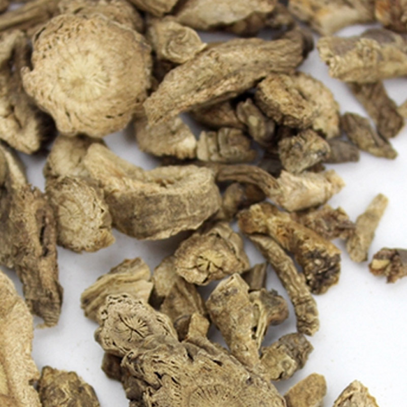 前胡 傳統(tǒng)中藥材的多樣形態(tài)與應(yīng)用價(jià)值