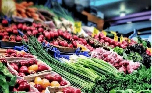 瓊州海峽對(duì)岸傳來(lái)利好 初級(jí)農(nóng)產(chǎn)品發(fā)展迎來(lái)新機(jī)遇